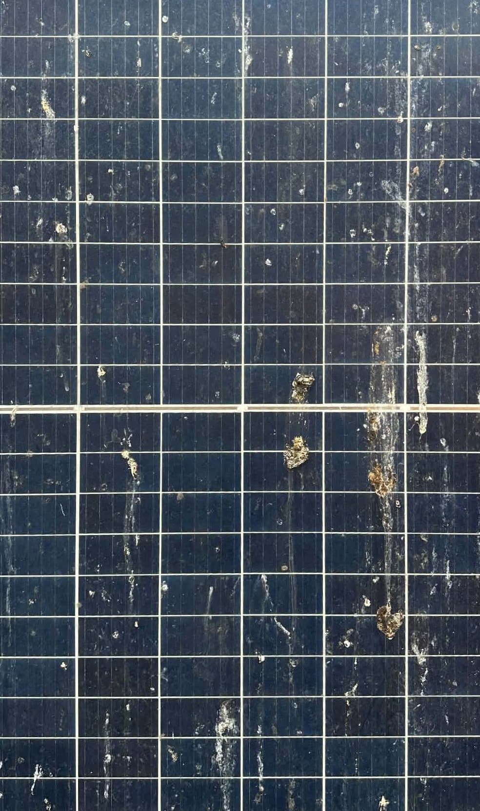 A solar panel covered in bird droppings and dirt before cleaning